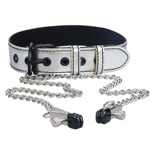 Pinces à tétons en métal à longue chaîne pour hommes et femmes, équipement de bondage BDSM et SM, jouets sexuels - Product Image 2