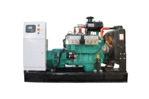 Nuovo Generatore a Gas Naturale o Biogas da 80kW con CHP, Avvio Automatico, Ciclo Chiuso, Raffreddato ad Acqua - Product Image 2