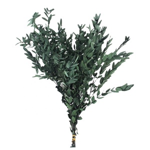 Vendita all'ingrosso all'ingrosso veri e conservati steli di eucalipto naturale verde pianta di eucalipto per la sistemazione di nozze decorazioni per la casa doccia - Product Image 1