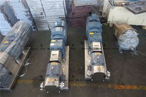 Bombas de Lóbulos de Chocolate, Carro Móvil, Control Continuo o por Variador de Frecuencia, Incluye Cubierta Impermeable, Mini Bomba Rotativa - Product Image 6