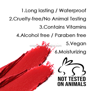 Rouge à lèvres liquide mat vegan pigmenté de haute qualité, longue tenue, imperméable, rouge mat, vente en gros - Product Image 4