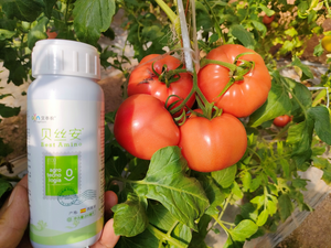 FLB Bioestimulante, Fertilizante Líquido Orgánico para Mejorar el Crecimiento de Cultivos en Frutas, Verduras y Suelos en Agricultura Orgánica - Product Image 2