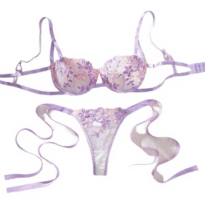 European and American ODM Bow Snowflake Embroidery Jersey Sheer Lace Gathering <b>Sexy</b> Lingerie <b>Set</b> - Product Image 4