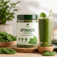Poudre de Myrtille Naturelle FVP-16 Qualité Alimentaire Sauvage Riche en Nutriments Poudre Végétale Verte Déshydratée en Fût/Bouteille