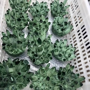 Cristallo di Quarzo <span class=keywords><strong>Fantasma</strong></span> Verde Naturale all'Ingrosso, Ecologico, Lucidato, per Decorazioni Matrimoniali e Cristalloterapia Fai-da-Te - Product Image 6