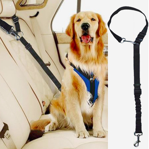 高級ペット用リード、クイックリリース、伸縮性のあるストレッチロープ、犬用、丈夫なポリエステル製、おしゃれなデザイン、IPeti PL14 - Product Image 6