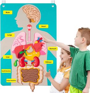 Activités éducatives sensorielles pour tout-petits : Pièces du corps – Tableau en papier et feutre bleu pour l'apprentissage préscolaire, les arts et l'artisanat, utilisation à domicile ou à l'école - Product Image 1