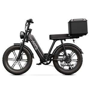 Vélos <span class=keywords><strong>électrique</strong></span>s urbains pour femmes, vélos <span class=keywords><strong>électrique</strong></span>s à pneus larges, <span class=keywords><strong>vélo</strong></span> <span class=keywords><strong>électrique</strong></span> à cadre en acier, 2 places, entrepôt UE - Product Image 5