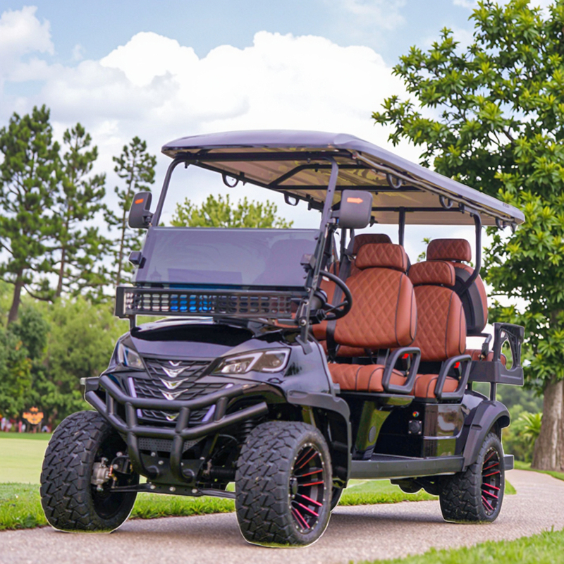 New Model 4 Passenger Golf Cart