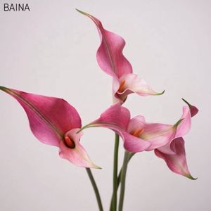 Delicadas Flores Artificiales de Lirio Calla de EVA, Tallo Largo, Tacto Realista, Pétalos Dobles, para Decoración de Hogar, Bodas o Navidad - Product Image 2