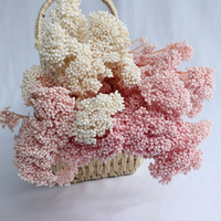 Bunga Kering Ozothamnus dari Pabrik, Bunga Millet Awet untuk Rangkaian DIY - Hari Ibu Natal Tahan Lama 3-5 Hari