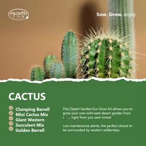All'ingrosso coltiva il tuo grazioso Mini <span class=keywords><strong>Cactus</strong></span> verde fioriere in ceramica bianca piccole <span class=keywords><strong>piante</strong></span> in vaso succulente - Product Image 5