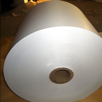 Papier offset 100 % pâte de bois, haute qualité, sans bois, pour impression, papier bond