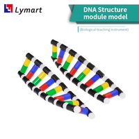 Modèle de structure d'ADN en PVC à double hélice 3D, certifié CE ISO, 220x150mm, modèle anatomique scientifique médical pour la formation des infirmières