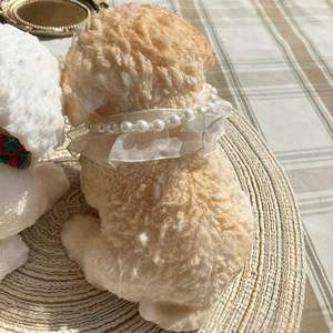 Juguete Antiestrés de Poodle, Venta Directa de Fábrica CHENXI, Juguete Blando de Poodle para Aliviar el Estrés, Muñeco de Perro Pequeño para Apretar - Product Image 4