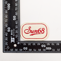 Écussons brodés 3D personnalisés avec logo, broderie en relief, adhésifs thermocollants, badges de transfert thermique, OEM disponible
