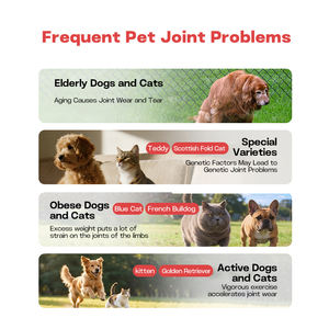 Natura Hip & <span class=keywords><strong>Joint</strong></span> Liquid pour Chiens avec Glucosamine Chondroïtine & MSM - Mobility Support Arthritis <span class=keywords><strong>Pain</strong></span> Relief - Product Image 3