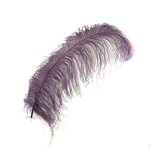 Menthe Naturel Plume Plumes D'autruche pour Fête Carnaval Maison Mariage Pièce Maîtresse De Noël Vase Vacances Décor DIY Artisanat Floral - Product Image 5