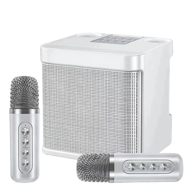 CARDSILK Party Celebration Karaoke Bluetooth Speaker Wireless Dual-Microphone All-in-One Unit Home Plastic Sound System