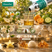 Diffuseur d'huiles parfumées inspirées, vente en gros, huile de parfum de luxe de créateur, pure et concentrée, parfum longue durée, huile pure