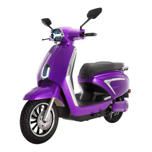 Trottinette électrique 1000W, deux roues, construction en acier et plastique, batterie au lithium, meilleur moteur - Product Image 2