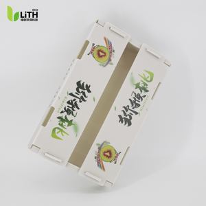 Maßgefertigte Hohlblech-<span class=keywords><strong>Kiwi</strong></span>-Box - Umweltfreundliche Kunststoff-Versandbox für Frische <span class=keywords><strong>Kiwi</strong></span>-Frucht, Futter- und Düngerschutz - Product Image 3