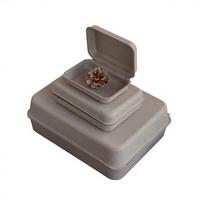 Boîte à bijoux rectangulaire en carton biodégradable écologique pour accessoires et articles de première nécessité (bagues, colliers)