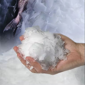 Máquina de Hielo en Escamas Comercial de 1 y 2 Toneladas con Control Automático, Compresor Bristol, <span class=keywords><strong>Motor</strong></span> y Bomba para Uso en Supermercados y Cocinas - Product Image 1