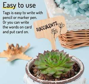 Vente en gros de nouveaux marqueurs d'identification de plantes de <span class=keywords><strong>jardin</strong></span> Offre Spéciale étiquettes de plantes en bambou - Product Image 3
