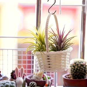 Bán Buôn Mục Vụ Phong Cách Dệt Giỏ Hoa Cầm Tay Nhựa Ống Mây Cho Trẻ Em Của Rau Chọn Hoa Sắp Xếp - Product Image 2