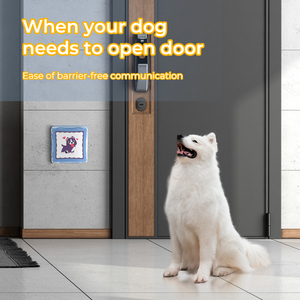 Giá bán buôn Recordable Pet Dog nói chuyện nút để cải thiện thông tin liên lạc với lông bạn bè - Product Image 3