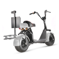 Scooter de golf électrique Loyal X7 avec GPS, design pliable, batterie au lithium étanche, moteur 2000W, autonomie jusqu'à 100 km, vitesse de 50 km/h