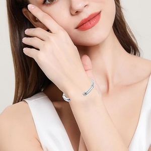 Bracelet urne commémorative pour femme, souvenir de décembre, porte-cendres d'animaux de compagnie, cristal brillant et étincelant - Product Image 6