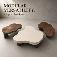 Table basse en bois écologique de luxe, forme nuage irrégulière, design minimaliste, décoration créative pour salon, accent de décoration intérieure moderne