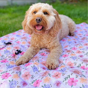 เบาะรองนอนสุนัขแบบพกพาสำหรับเดินทาง ผ้าห่มกันน้ำแบบม้วนได้ - Product Image 5