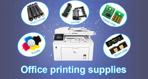 Chip de Reseteo de Tinta de Un Solo Uso PM 225 T5846 Chip de Cartucho PM225 para Epson PictureMate PM 280 200 240 Chips - Product Image 2