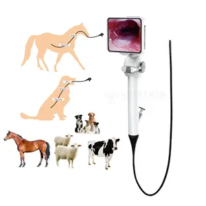 SY-P029-3 Veterinaire Endoscoop Ent Gastroscoop En Colonoscoop Draagbare Kleine Dieren Flexibele Endoscoop