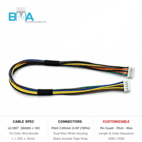 Faisceau de câbles 10 broches (2x5) avec pas de 2,00 mm, 28AWG, 25 cm/0,82 pi, multicolore, pour connexion interne d'électronique grand public