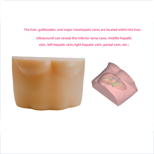 Manichino per Addestramento ad Ultrasuoni per Puntura Epatica con Fegato, Vescica Biliare e Vena Cava Inferiore per l'Apprendimento delle Abilità Interventistiche - Product Image 3