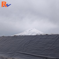 Géomembrane HDPE de 0,3 mm à 3 mm, HDPE LDPE LLDPE PVC EPDM, revêtement pour bassin à poissons, revêtement pour barrage en Afrique du Sud