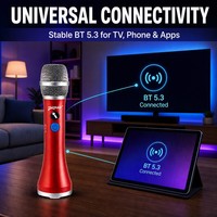 Système de microphone sans fil professionnel ODM à 2 canaux avec suppression du bruit pour karaoké