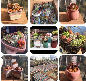 Garten Lila Sand Kleiner Keramik topf Indoor Terrakotta Sukkulente Töpfe - Product Image 6