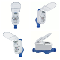 Compteur d'eau intelligent STS Prepayment R100/R160 sans fil LORA/RF/NB-IoT IP68 en laiton/plastique personnalisable avec logiciel de distribution OEM DCU AMI