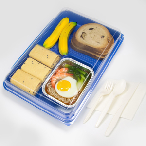 Tái chế dùng một lần PS màu xanh thực phẩm khay nhựa cho hãng hàng không phục vụ hộp - Product Image 5