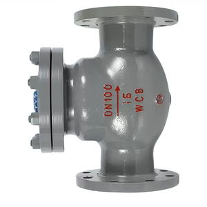 DN100 PN16 Manual WCB Acero al carbono Válvula <span class=keywords><strong>de</strong></span> retención <span class=keywords><strong>de</strong></span> brida oscilante <span class=keywords><strong>de</strong></span> <span class=keywords><strong>alta</strong></span> temperatura Válvula <span class=keywords><strong>de</strong></span> retención <span class=keywords><strong>de</strong></span> <span class=keywords><strong>alta</strong></span> presión <span class=keywords><strong>para</strong></span> agua <span class=keywords><strong>de</strong></span> aceite <span class=keywords><strong>de</strong></span> <span class=keywords><strong>gas</strong></span> - Product Image 2