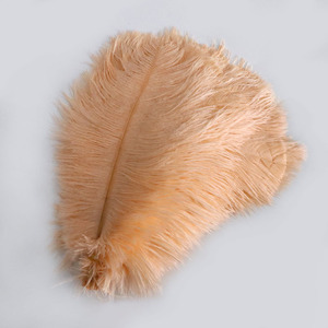 28-30in/70-75cm devekuşu tüyleri tükenmez kalemler için ucuz ağartılmış beyaz dekoratif devekuşu Pluma en çok satan dekorasyon öğesi - Product Image 6