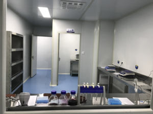 Hayvan sığır erken gebelik bütün kan hızlı algılama kiti şerit kartı inek PAG gebelik test kiti - Product Image 4