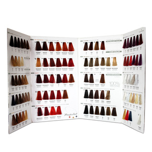 Meilleures ventes : Nuancier professionnel pour coloration capillaire, couleurs tendance populaires, OEM/ODM, échantillon de teinture pour cheveux - Product Image 1