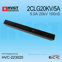 Diode redresseuse haute tension HVGT originale 2CLG20KV/5A 5A 20KV 100nS haute fréquence