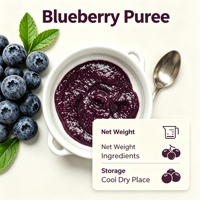 Lotlong Premium Natuurlijke Levendige Paarse Op Maat Gemaakte Productie Fabriek Zoete & Pittige Blauwe Bessenpuree voor Fruitthee Smoothie Bereiding